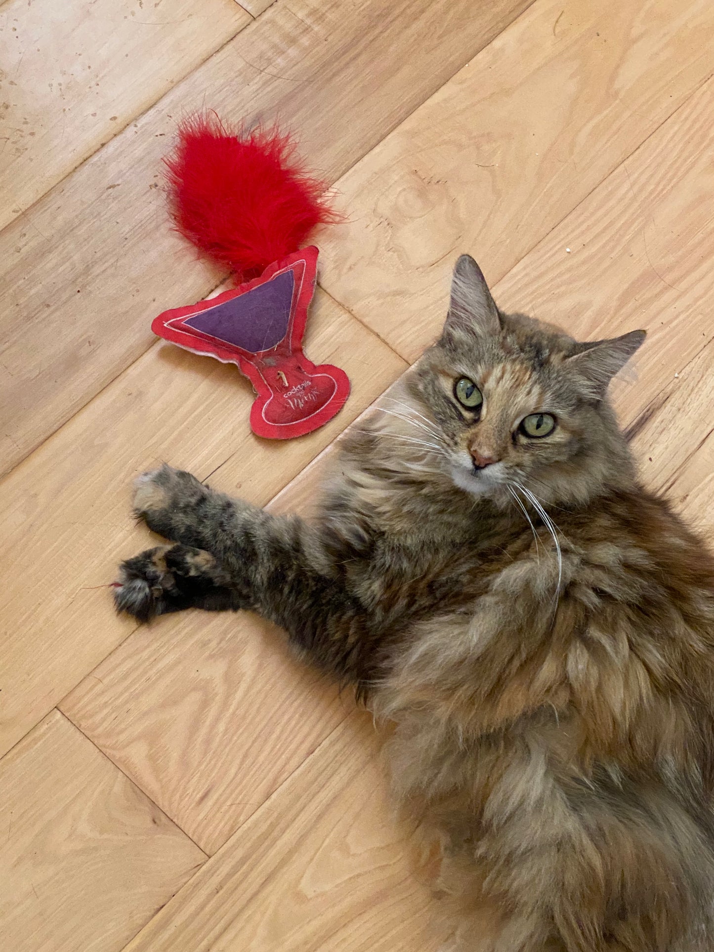 Crunch & Carry 100 Proof Silvervine & Catnip Meowtini with Feathers