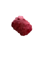 Catnip & SIlvervine CRUNCHY Coral Cylinder Round