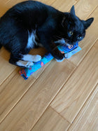 NEW!!! Giant Catnip, Silvervine & CRUNCH Cigars - Assorted Patterns