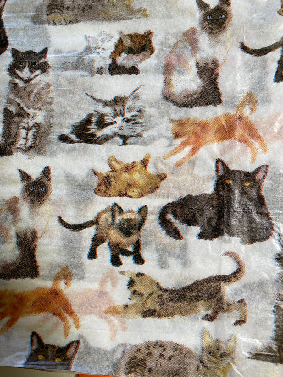 NEW! All Cats Organic Catnip & Silvervine Infused Paper Sheets (Allover Cats/Orange)