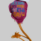 Crunch & Carry 100 Proof Silvervine & Catnip Gotcha Day Balloons with Strings
