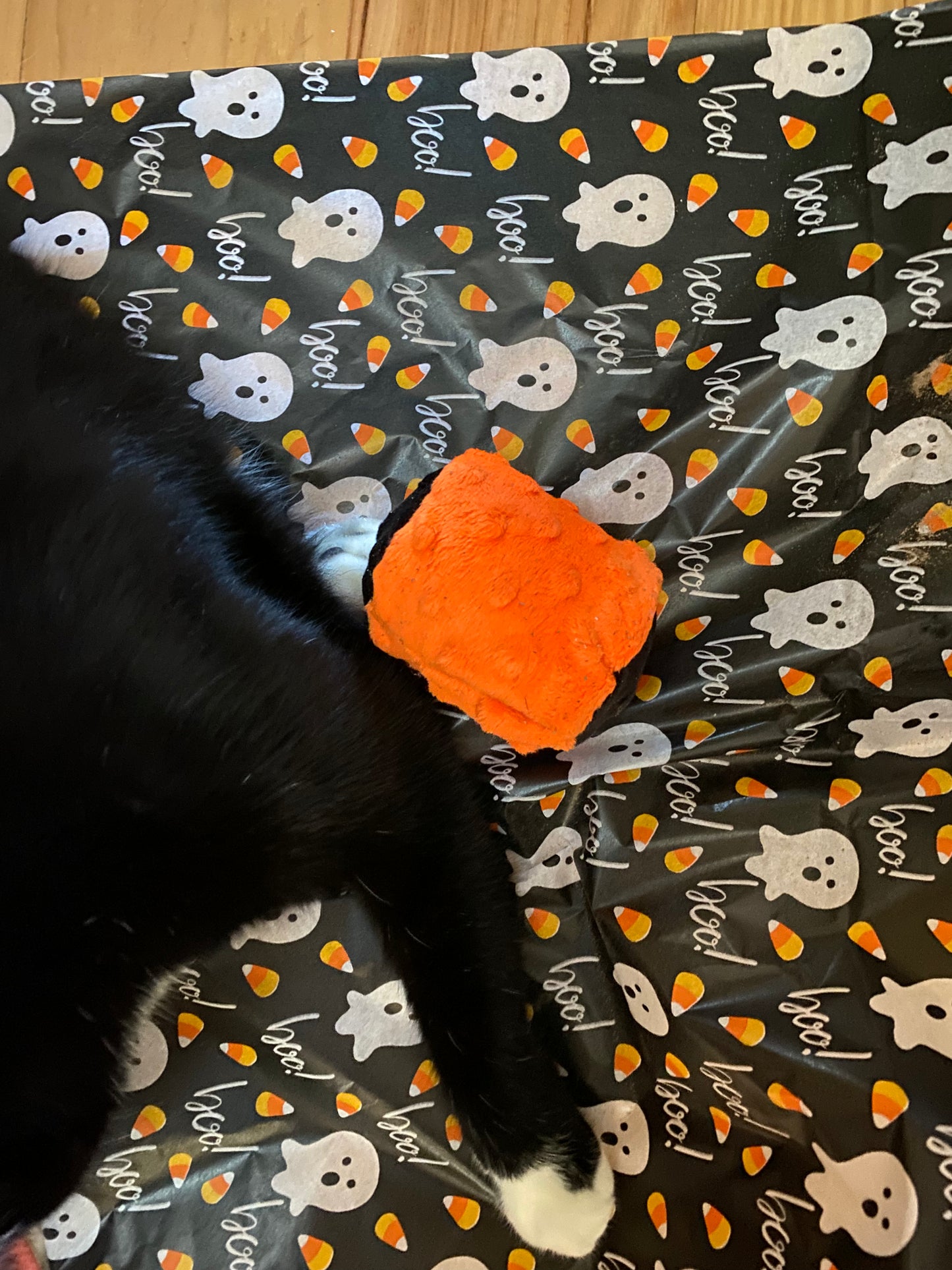 Crunch & Carry 100 Proof Silvervine & Catnip Cylinders