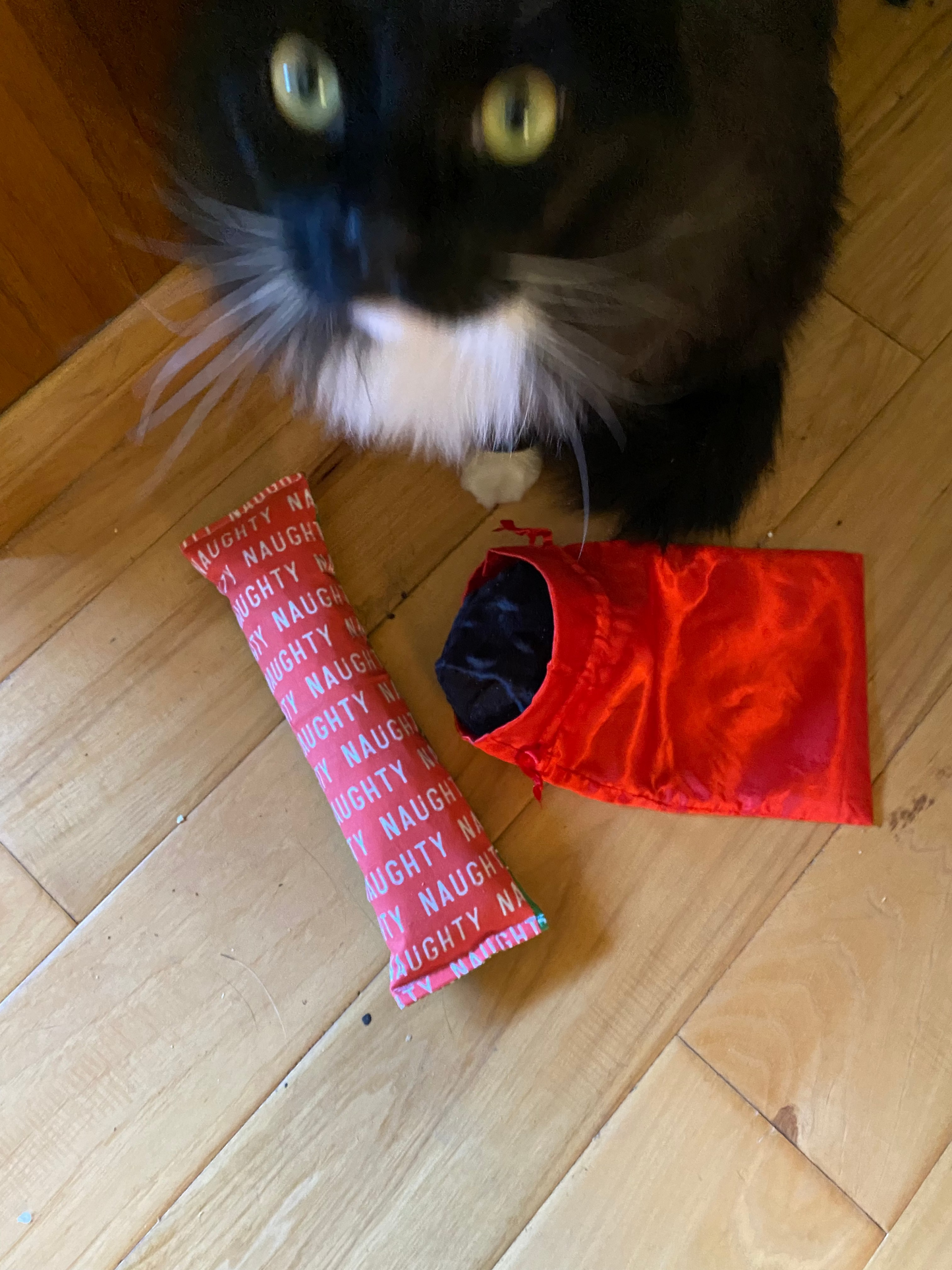 Naughty or Nice Coal Set