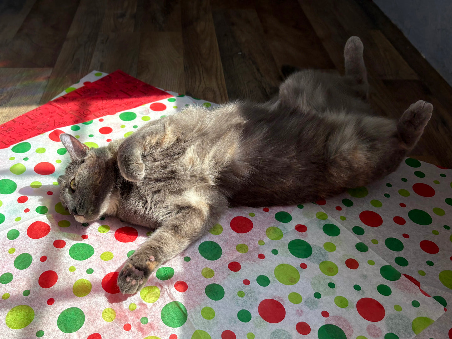 Holiday 100 Proof Silvervine & Organic Catnip Infused Crinkle Sheets