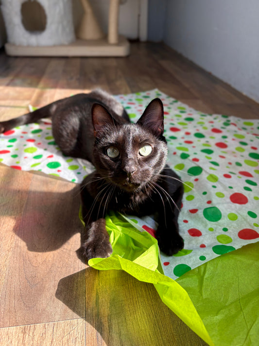 Holiday 100 Proof Silvervine & Organic Catnip Infused Crinkle Sheets