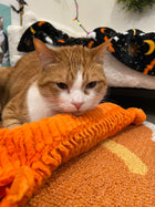 LImited Edition Halloween Orange Textured XL Catnip & Silvervine Kicker