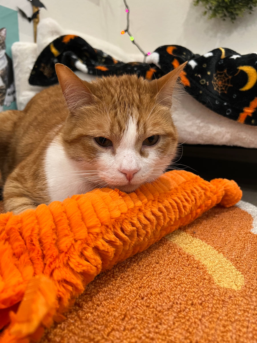 LImited Edition Halloween Orange Textured XL Catnip & Silvervine Kicker