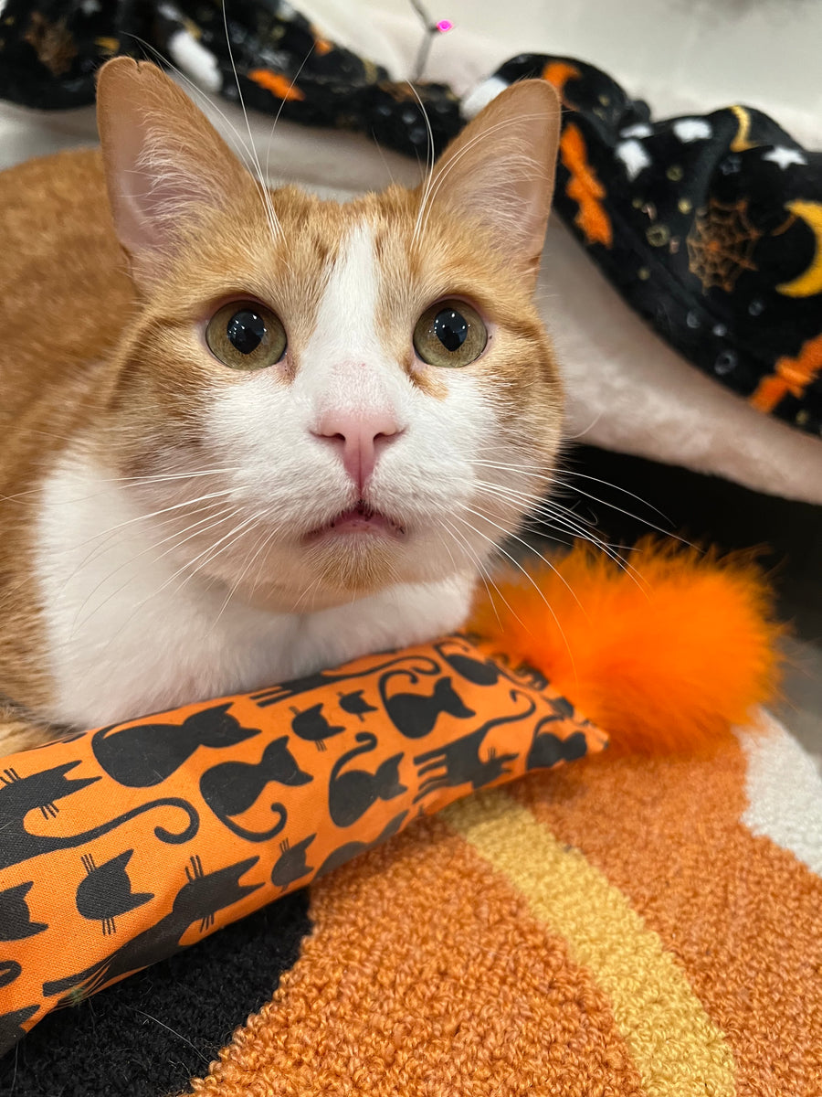 Whimsical Orange Cats Catnip, Silvervine & Crunch Kicker with Marabou