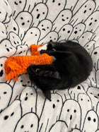 LImited Edition Halloween Orange Textured XL Catnip & Silvervine Kicker
