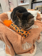 Whimsical Orange Cats Catnip, Silvervine & Crunch Kicker with Marabou