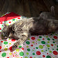 Holiday Silvervine & Catnip Infused Crinkle Sheets