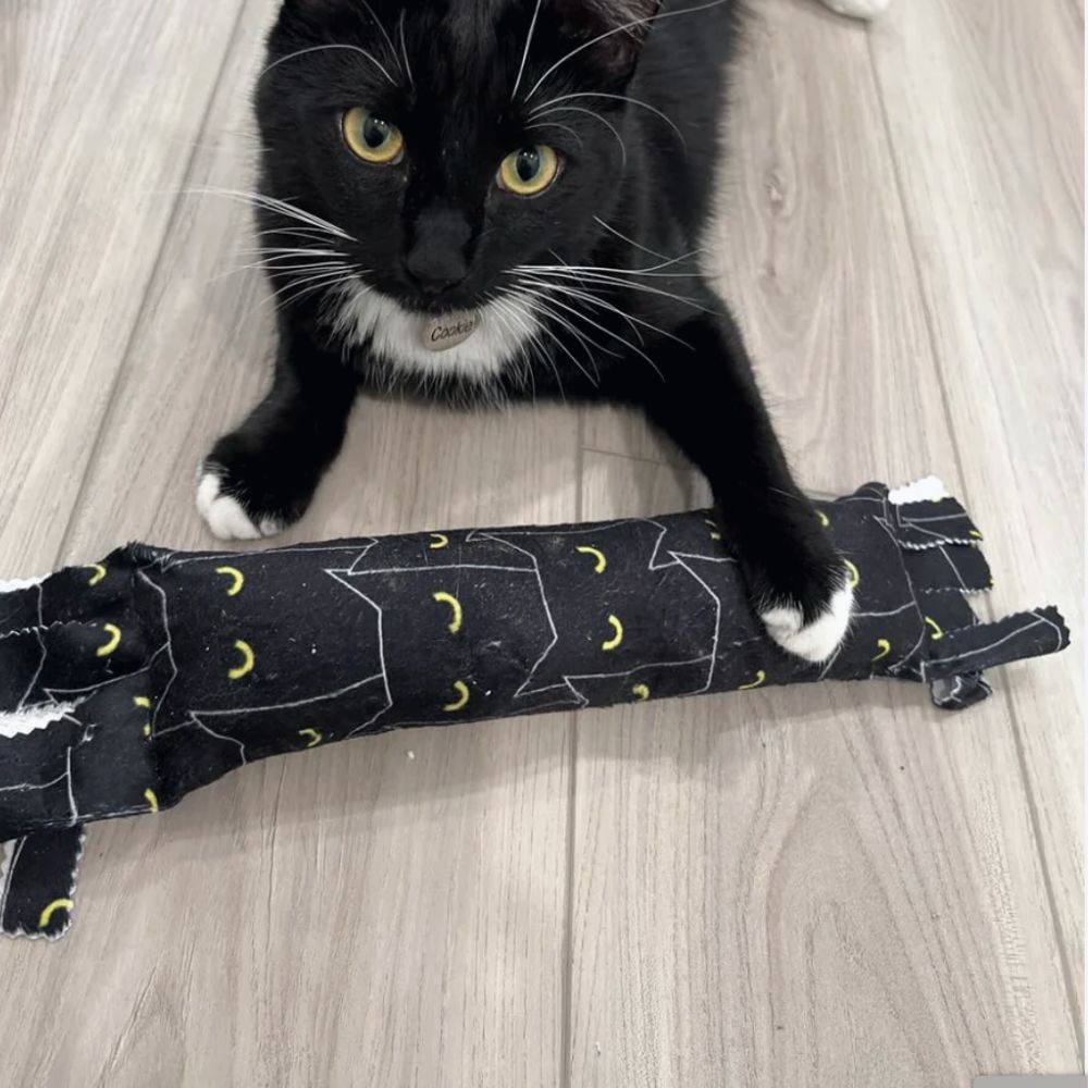 Silvervine & Catnip XL Kickers – cocktailsandmeows