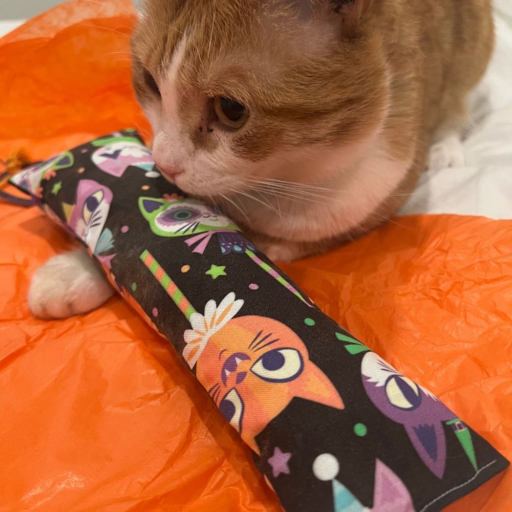 Meowloween Silvervine & Catnip Crunch Kickers