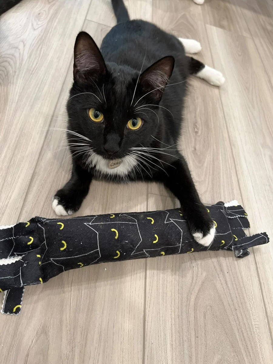 Fringe Frenzy XL 100 Proof Silvervine & Catnip Kicker - Assorted Prints