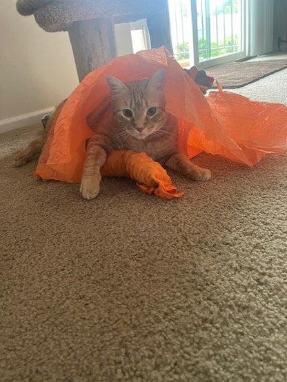 Silvervine & Organic Catnip Infused Crinkle Sheets