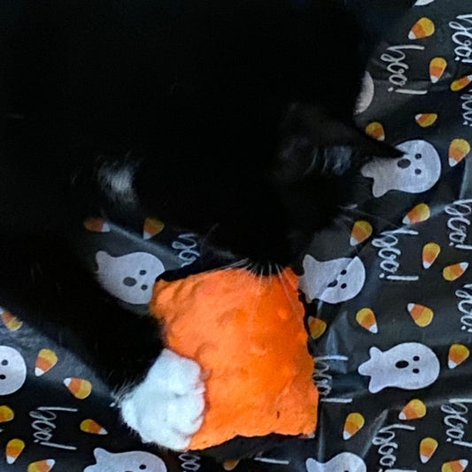 Meowloween Silvervine & Catnip Hunt & Carry Toys