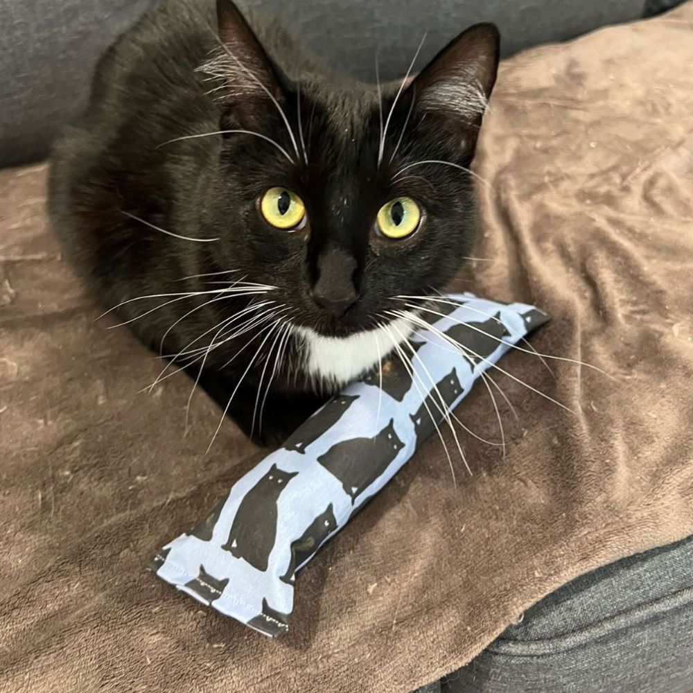 Crunch Crazy Silvervine & Catnip Kickers