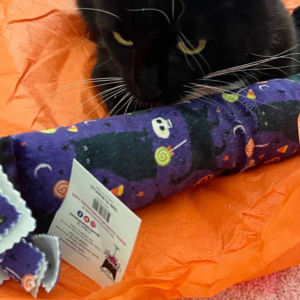 Meowloween Silvervine & Catnip XL Kickers