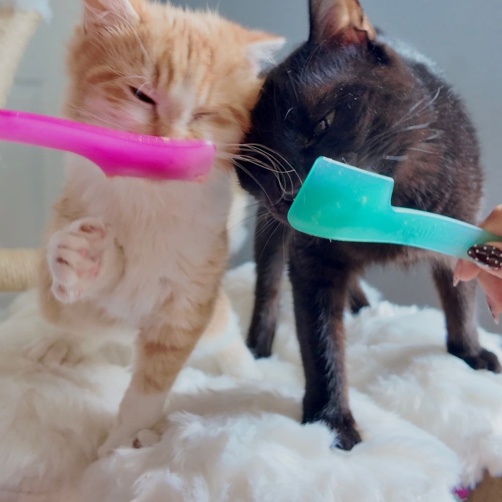 Mix & Serve Dual Ended Spoons