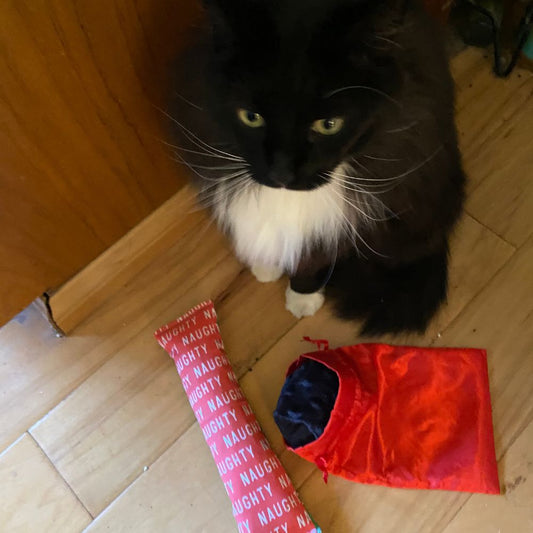 Naughty or Nice Coal Set