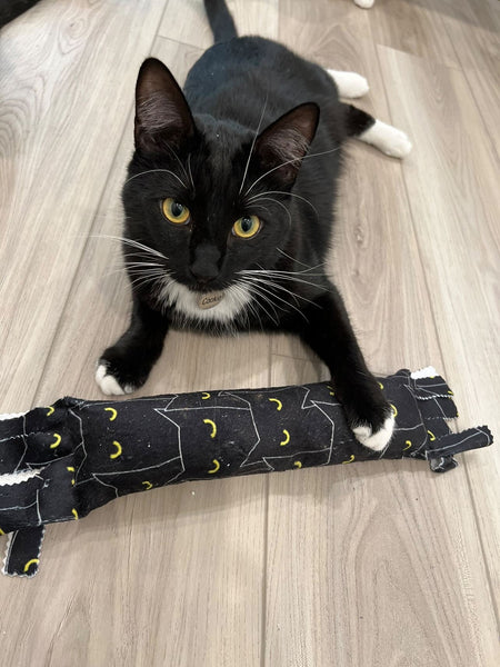 Cats' Eyes Happy Hours XL Catnip & Silvervine Kicker
