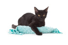 Happy Hours of Fun Organic Catnip & Silvervine Kicker - Aqua