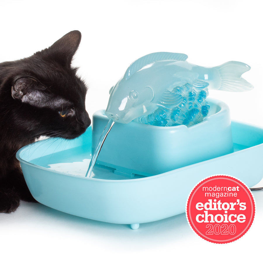 NEW! The Drinking Buddy Cat Water Fountain - Fish/Blue Basin