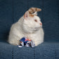 GUS 360 Degree Totally Me Catnip & Silvervine Kicker - Deep Blue