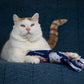 GUS 360 Degree Totally Me Catnip & Silvervine Kicker - Deep Blue