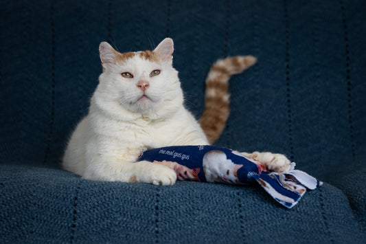 GUS 360 Degree Totally Me Catnip & Silvervine Kicker - Deep Blue