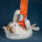GUS 360 Degree Totally Me Catnip & Silvervine Kicker - Bright Orange