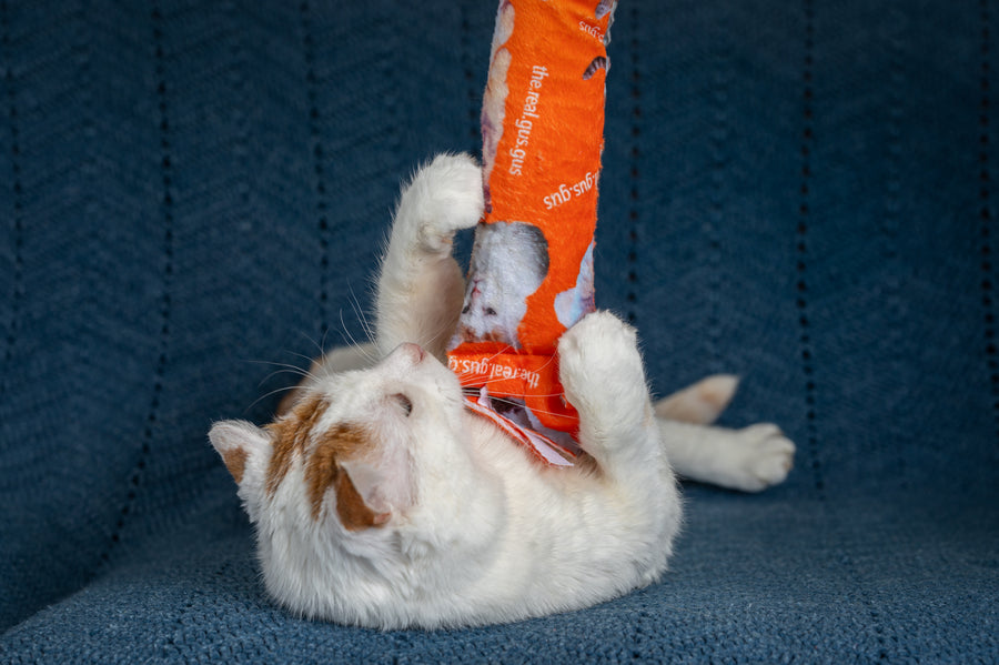 GUS 360 Degree Totally Me Catnip & Silvervine Kicker - Bright Orange