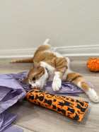 Halloween Orange Cats Catnip, Silvervine & Crunch Kicker