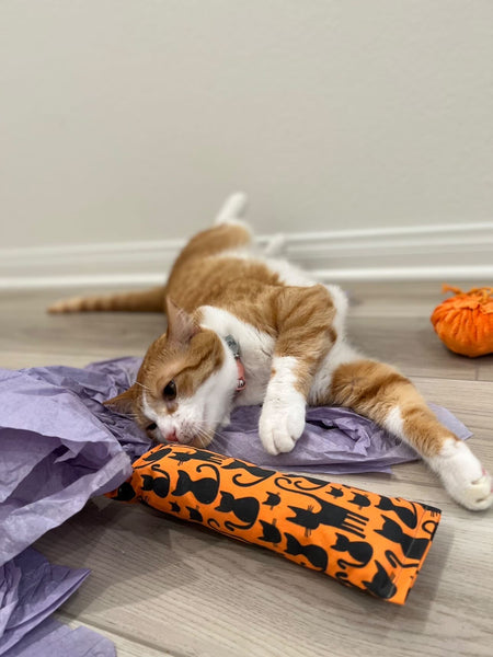 Halloween Orange Cats Catnip, Silvervine & Crunch Kicker