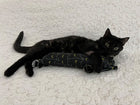 Cats' Eyes Happy Hours XL Catnip & Silvervine Kicker
