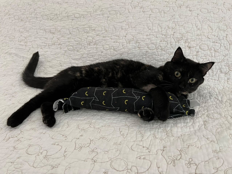 Cats' Eyes Happy Hours XL Catnip & Silvervine Kicker