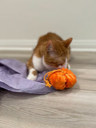 Halloween Catnip & Silvervine Pumpkin