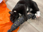 Cats' Eyes Happy Hours XL Catnip & Silvervine Kicker