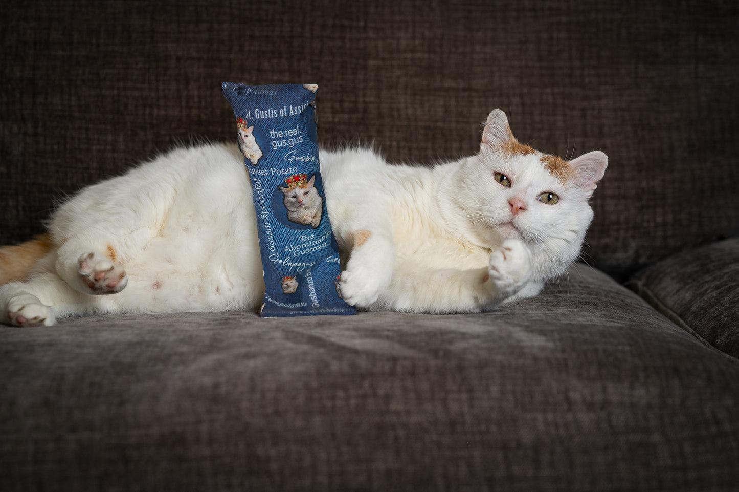 King GUS Catnip, Silvervine & Crunch Kicker - Regal Blue
