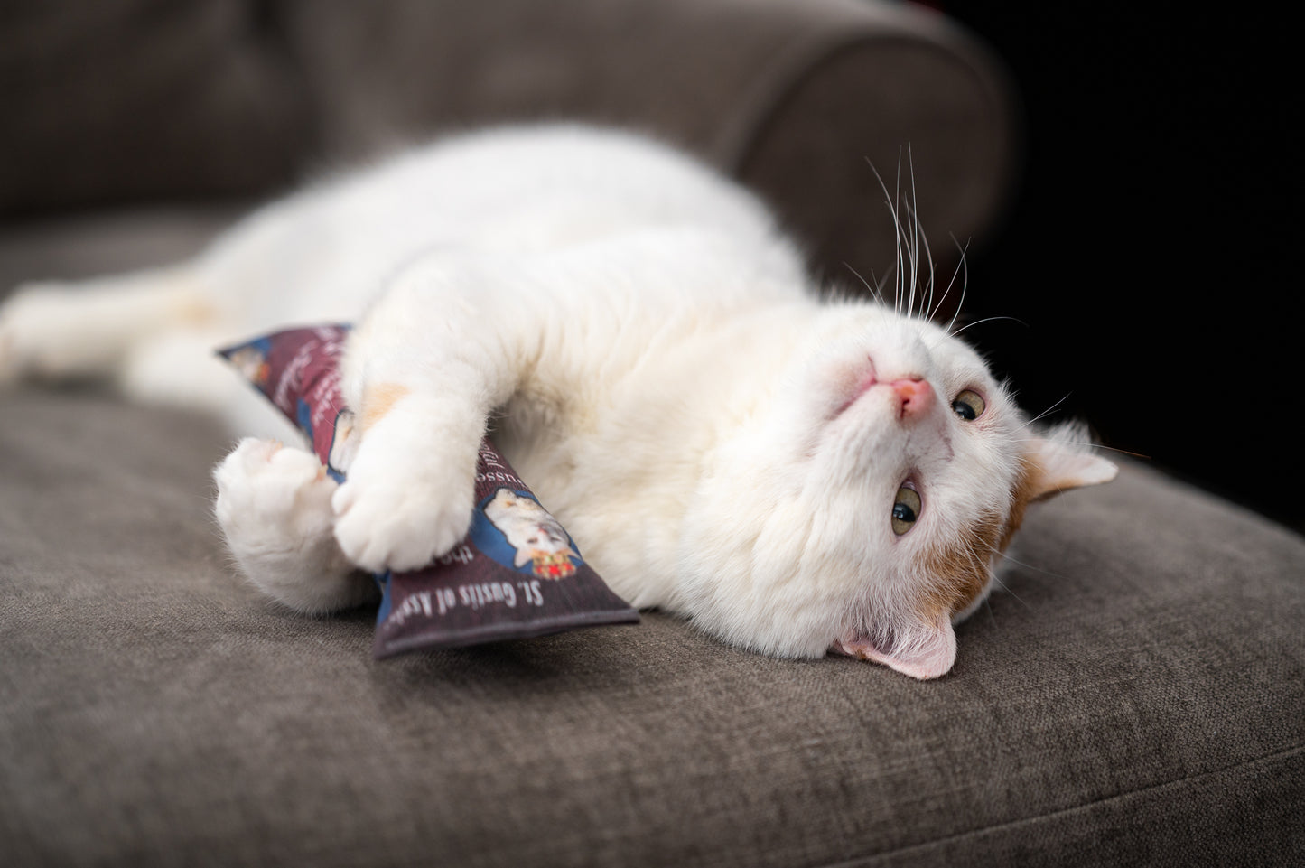 King GUS Catnip, Silvervine & Crunch Kicker - Royal Burgundy