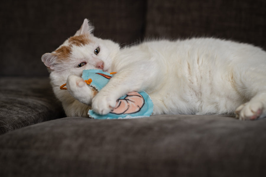 Shrimpalicious! Shrimp on a Rope Catnip, Silvervine & Crunch Toy - Blue