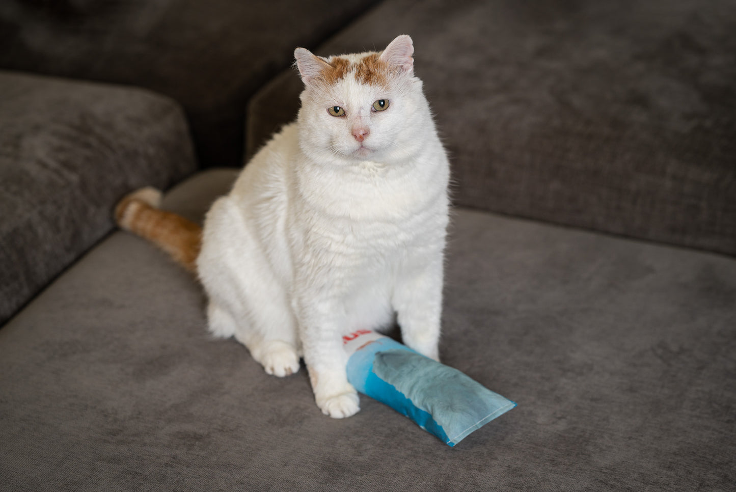 Great White GUS Kicker with Catnip, Silvervine & Crunch