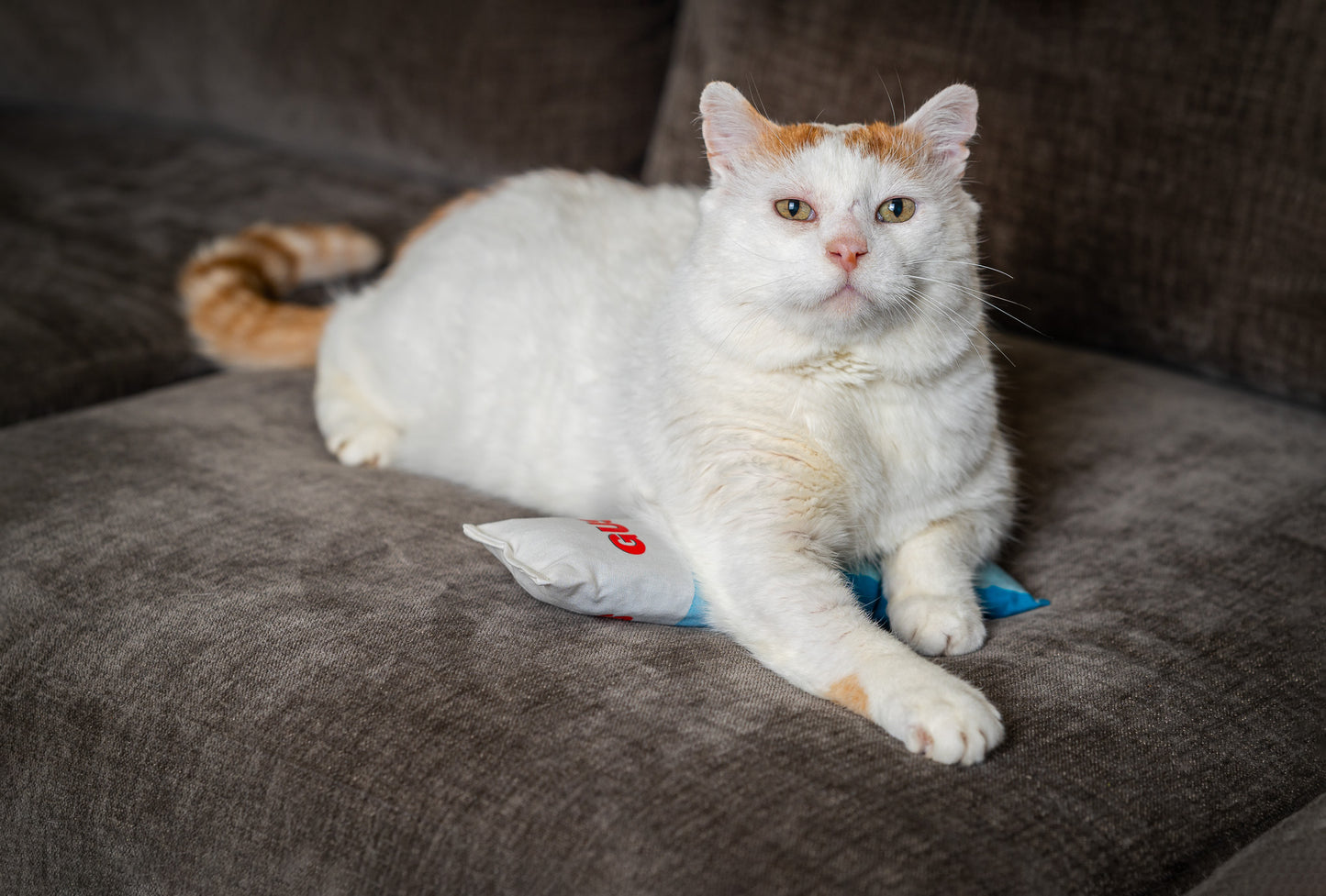 Great White GUS Kicker with Catnip, Silvervine & Crunch