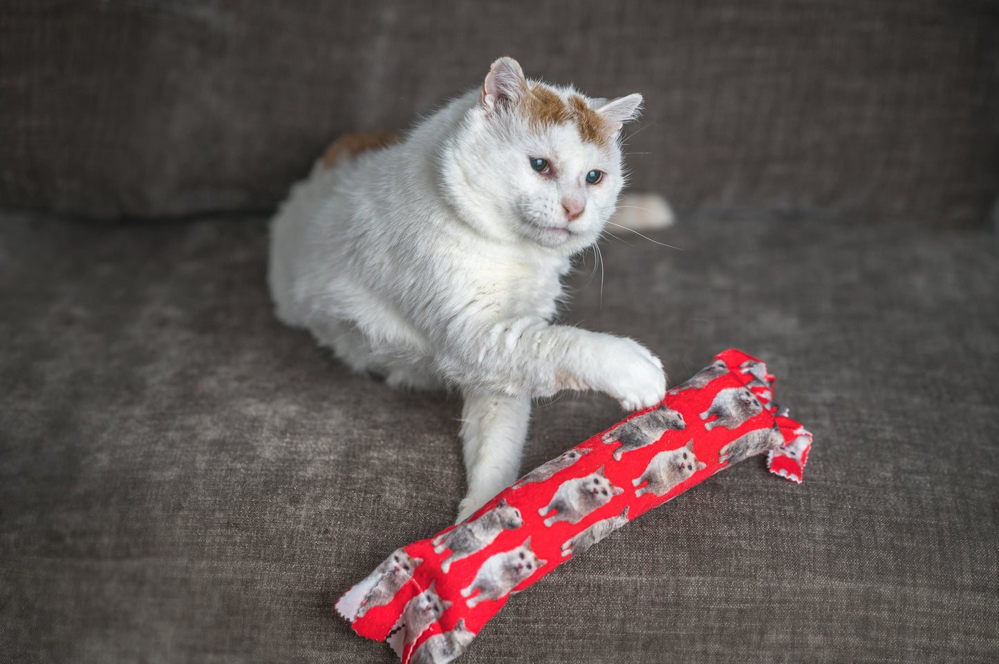 Gentle Unflappable and Sweet GUS Catnip & Silvervine Kicker Pillow - Brilliant Red