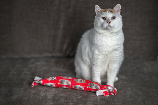 Gentle Unflappable and Sweet GUS Catnip & Silvervine Kicker Pillow - Brilliant Red