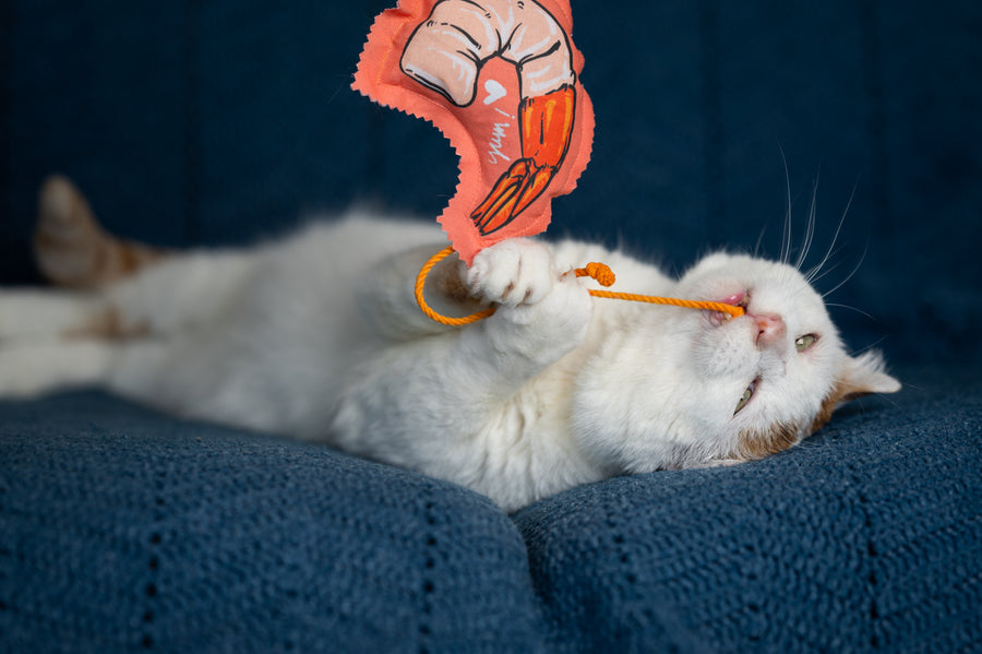 Shrimpalicious! Shrimp on a Rope Catnip, Silvervine & Crunch Toy - Set of 2