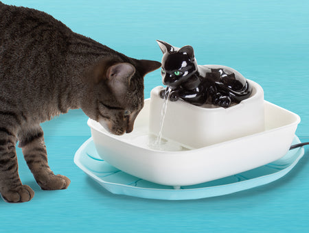 NEW!!! The Drinking Buddy Cat Water Fountain - Black Cat/White Basin