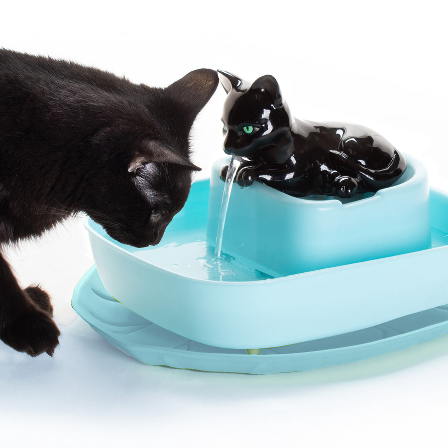 NEW!!! The Drinking Buddy Cat Water Fountain Black Cat/Blue
