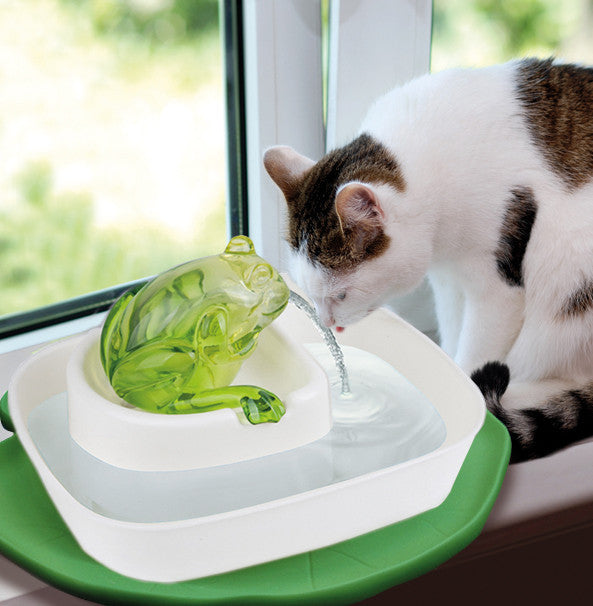 https://www.cocktailsandmeows.com/cdn/shop/products/cat_dish_splash_catcher_lily_pad_green_00417_view_2_900x.jpg?v=1609226826