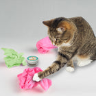 Organic Catnip & Silvervine Infused Paper Sheets (Pink/Green)